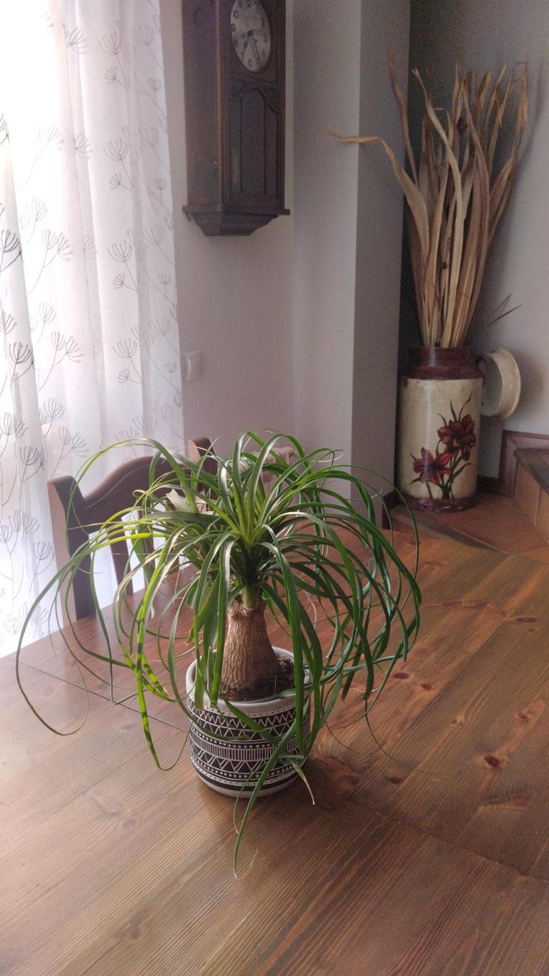 El Balcon De Villapresente Dış mekan fotoğraf